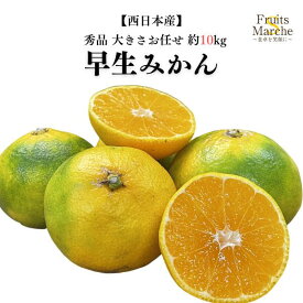 【送料無料】【西日本産】秀品　早生みかん　大きさお任せ　約10kg(北海道沖縄別途送料加算)