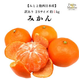 【送料無料】【みとよ他西日本産】訳あり　みかん　2Sサイズ　約5kg(北海道沖縄離島等別途送料加算)
