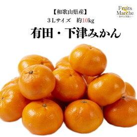 【送料無料】【和歌山県産】有田・下津みかん　3Lサイズ　約10kg(北海道沖縄別途送料加算)
