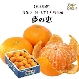 【送料無料】みかん 夢の恵 秀品 4kg S・M・Lサイズ 糖度 12 以上 甘い 夢のめぐみ 夢の恵みかん 熊本県産 送料無料 （北海道・沖縄県は別途送料加算）