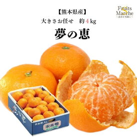 【送料無料】みかん 夢の恵 4kg 糖度 12 以上 甘い 夢のめぐみ 夢の恵みかん 大きさお任せ 熊本県産 送料無料 （北海道・沖縄県は別途送料加算）
