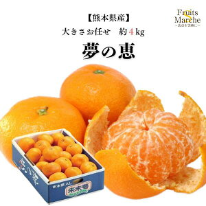 yIz݂ ̌b 4kg x 12 ȏ Â ̂߂ ̌b݂ 傫C F{Y  ikCEꌧ͕ʓrZj