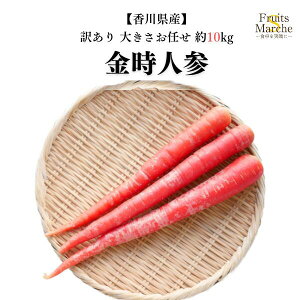 yzy쌧Yz󂠂lQ@傫C@10kg(kCʓrZ)