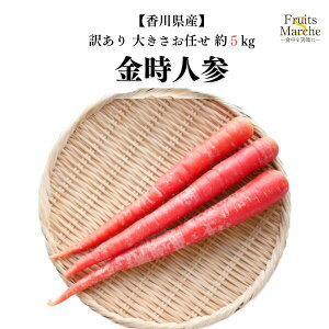 yzy쌧Yz󂠂lQ@傫C@5kg(kCʓrZ)