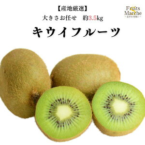 yzyYnIzLECt[c 傫܂ ܍ 3.5kg(kCʓrZ)