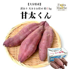 【送料無料】甘太くん さつまいも 大分 5kg 訳あり 大きさお任せ かんたんくん 紅はるか べにはるか 大分県産 送料無料 （北海道・沖縄県は別途送料加算）
