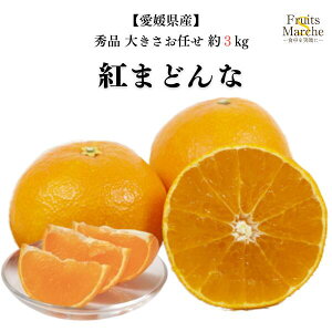 yzg܂ǂ ݂ 3kg Gi 傫C QY k ikCEꌧ͕ʓrZj