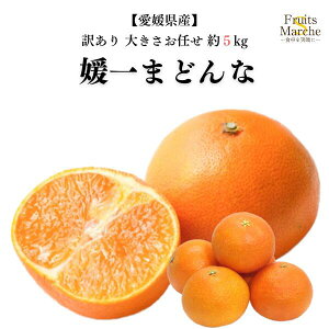 yzyQYz󂠂 Q܂ǂ 傫C 5kg(kCʓrZ)