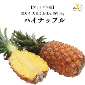 【送料無料】【フィリピン産】パイナップル　大きさお任せ　約10kg(北海道沖縄離島等別途送料加算)