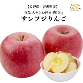 【送料無料】【長野県/青森県産】秀品　サンふじりんご　大きさお任せ　約10kg(北海道沖縄別途送料加算)