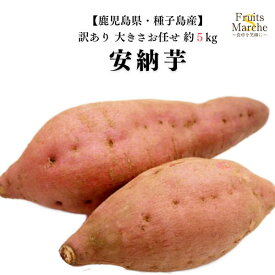 【送料無料！】安納芋 さつまいも 約5kg 訳あり大きさお任せ 鹿児島県 種子島産 送料無料（北海道・沖縄県は別途送料加算）