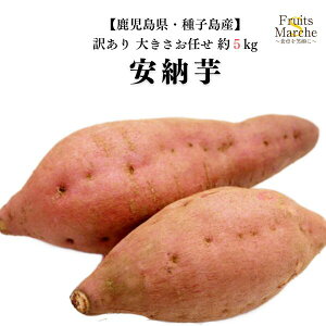 yIz[ ܂ 5kg 󂠂傫C  qY ikCEꌧ͕ʓrZj