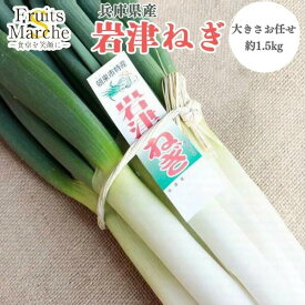 【送料無料】【兵庫県産】岩津ねぎ 大きさおまかせ 約1.5kg　5束入り(北海道沖縄別途送料加算)