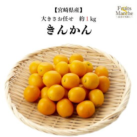 【送料無料】【宮崎県産】キンカン 大きさお任せ 約1kg(北海道沖縄別途送料加算)