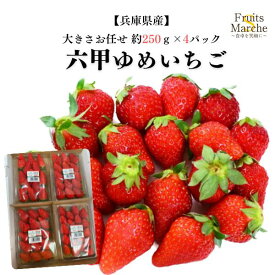 【送料無料】六甲夢いちご 夢いちご イチゴ 1箱 約250kg×4パック 大きさお任せ 兵庫県産 送料無料（北海道・沖縄県は別途送料加算）