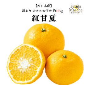 【送料無料】【鹿児島県他西日本産】訳あり　紅甘夏　大きさお任せ　約10kg(北海道沖縄別途送料加算)