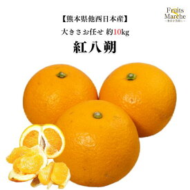 【送料無料】【熊本県他西日本産】紅八朔　大きさお任せ　約10kg(北海道沖縄別途送料加算)