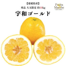 【送料無料】【愛媛県産】秀品　宇和ゴールド　大玉限定　約10kg(北海道沖縄別途送料加算)