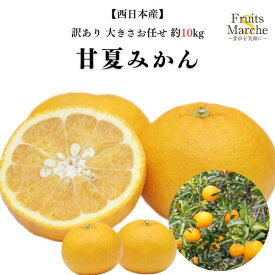 【送料無料】【西日本産】訳あり　甘夏みかん　大きさお任せ　約10kg(北海道沖縄別途送料加算)