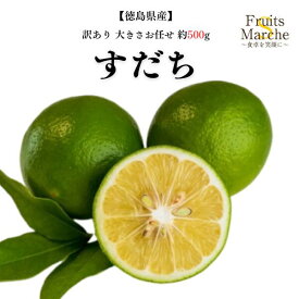 【送料別】すだち 家庭用 大きさお任せ 約500g【1kg以上で送料無料！】(北海道沖縄別途送料加算)　すだちの皮 スダチチン 徳島県産