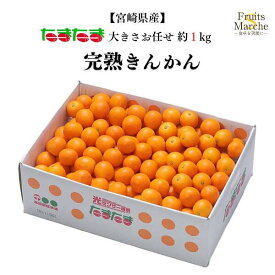 【送料別】【宮崎県産】完熟きんかん(たまたま)大きさお任せ　約1kg 【2kg以上で送料無料！】(北海道沖縄別途送料加算)