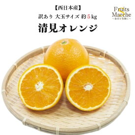 【送料無料】【西日本産】訳あり　清見オレンジ　大玉サイズ　約5kg（北海道沖縄別途送料加算）