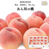 【送料無料】【和歌山県産】秀品　あら川の桃　化粧箱入　約1.5kg(北海道沖縄別途送料加算)