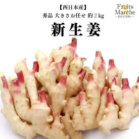 【送料無料】【西日本産】秀品　新生姜 　大きさお任せ　約2kg（北海道・沖縄県は別途送料加算）