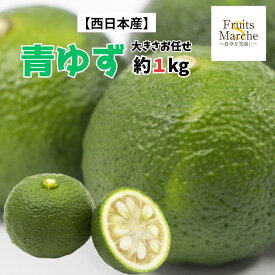 【クール便送料無料】【西日本産】青ゆず 約1kg(北海道沖縄別途送料加算)