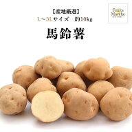 【送料無料】【産地厳選】馬鈴薯　L〜3Lサイズ　約10kg(北海道沖縄離島別途送料加算)