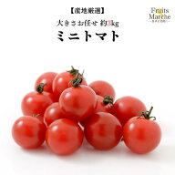 【送料無料】【産地厳選】ミニトマト 　大きさお任せ　約3kg（北海道沖縄別途送料加算）
