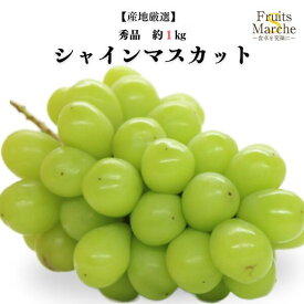 【送料無料】シャインマスカット ぶどう 1〜2房 約1kg 秀品 産地厳選 送料無料 （北海道・沖縄県は別途送料加算）
