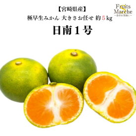 【送料無料】【宮崎県産】日南1号　大きさお任せ　約5kg(北海道沖縄別途送料加算)