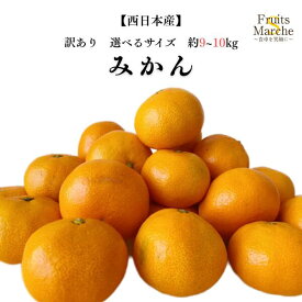 【送料無料】【西日本産】訳あり　大玉みかん　選べるサイズ　約10kg(北海道沖縄別途送料加算)