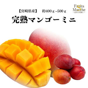 �y���������z�y�{�茧�Y�z���n�}���S�[�~�j�@��400�`500g (�k�C������ʓr�������Z)