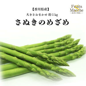 yzy쌧Yzʂ̂߂ 傫܂ 1kg(kCʓrZ)