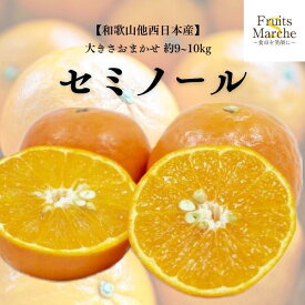 【送料無料】【和歌山他西日本産】訳あり　セミノール　大きさおまかせ　約9〜10kg(北海道沖縄別途送料加算)