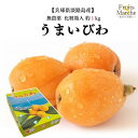 【送料無料】【兵庫県淡路島産】うまいびわ　大きさおまかせ　化粧箱入　1箱　約1kg(北海道沖縄別途送料加算)