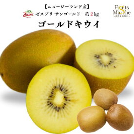 【送料無料！】ゼスプリ サンゴールドキウイフルーツ ニュージーランド産 2kg キュウイ キウイフルーツ キィウイフルーツサンゴールド 送料無料（北海道・沖縄県は別途送料加算）