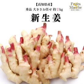 【送料無料！】新生姜 高知 2kg 秀品 大きさお任せ 新 生姜 生 高知県産 送料無料（北海道・沖縄県は別途送料加算）