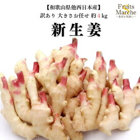 【送料無料】【和歌山県他西日本産】訳あり　新生姜　大きさおまかせ　約4kg(北海道沖縄別途送料加算)