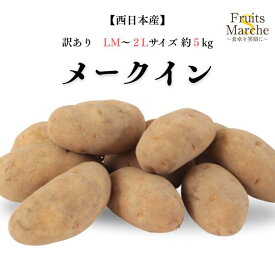 【送料無料】【西日本産】訳あり　メークイン　LM〜2Lサイズ　約5kg(北海道沖縄別途送料加算)