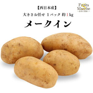 yʁzy{Yz[NC 傫C 1pbN 1kg y؋lߍ킹ZbgƓőz