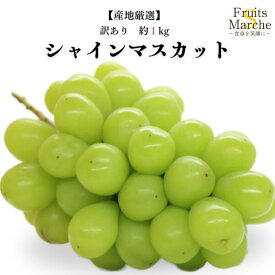【送料無料】シャインマスカット ぶどう 約1kg 訳あり 大きさお任せ 産地厳選 送料無料 （北海道・沖縄県は別途送料加算）