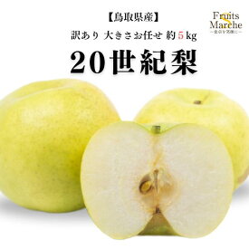 【送料無料】【鳥取県産】 訳あり　20世紀梨　大きさおまかせ　約5kg(北海道沖縄別途送料加算)