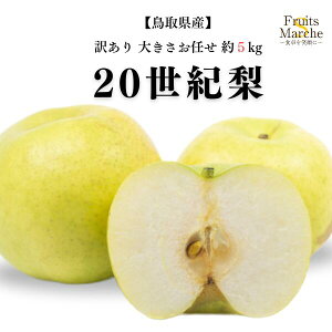 yzy挧Yz 󂠂@20I@傫܂@5kg(kCʓrZ)