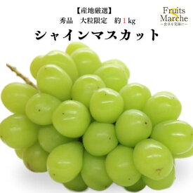【送料無料！】シャインマスカット ぶどう 1〜2房 約1kg 秀品 大粒限定 産地厳選 送料無料 （北海道・沖縄県は別途送料加算）