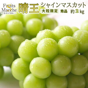 yIzVC}XJbg  R Ԃǂ 2kg Gi 嗱 x RY  ikCEꌧ͕ʓrZj