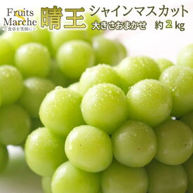 【送料無料！】シャインマスカット 晴王 岡山 ぶどう 約2kg 訳あり 大きさお任せ 高糖度 岡山県産 送料無料 （北海道・沖縄県は別途送料加算）