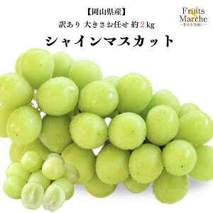 yIzVC}XJbg Ԃǂ 2kg 󂠂 傫C RY  ikCEꌧ͕ʓrZj